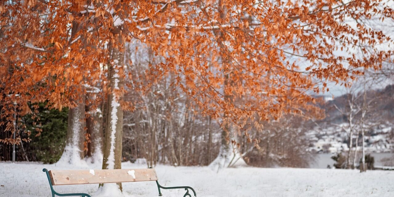 🌨️ Snowy Day Smiles