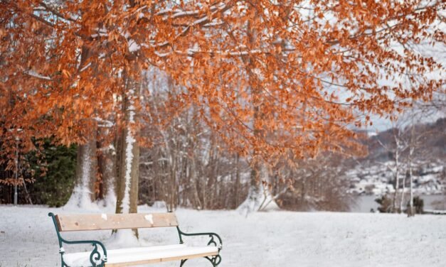 🌨️ Snowy Day Smiles