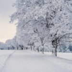 🌨️ Snowy Day Smiles