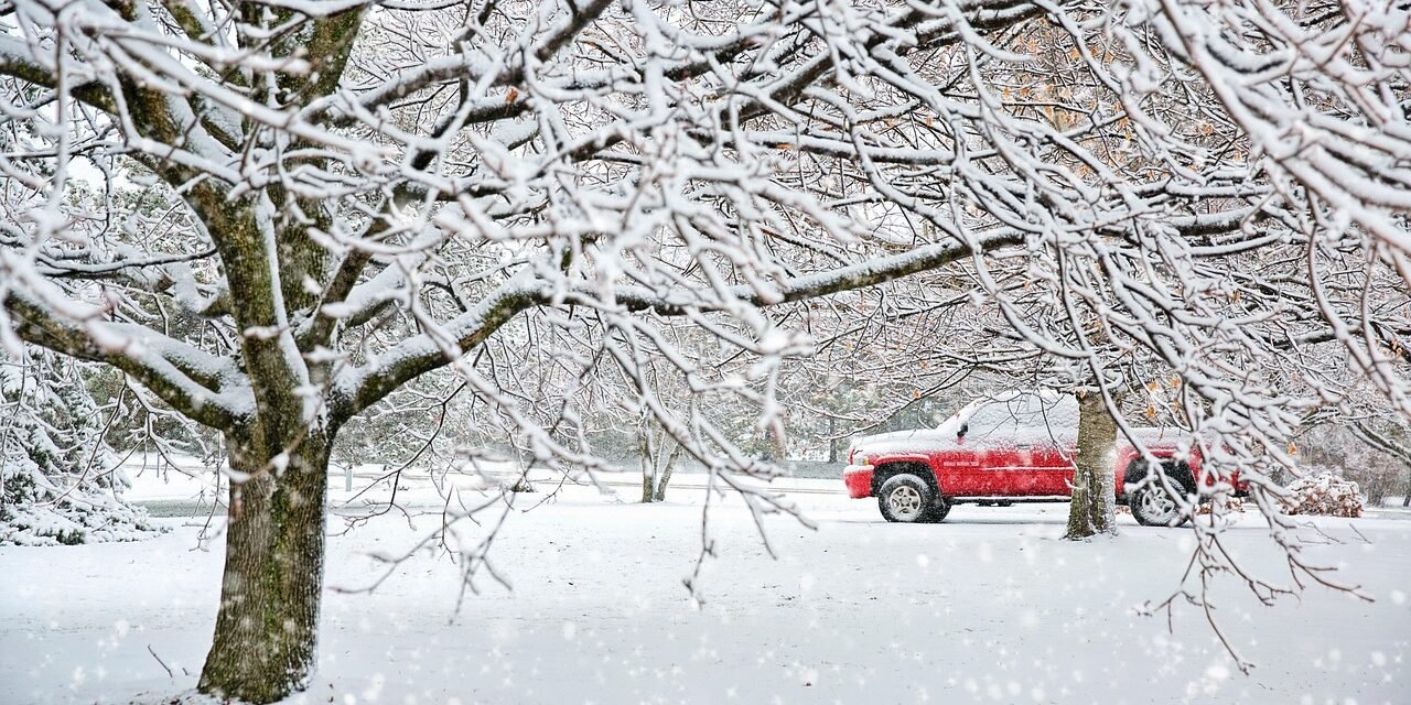 🌨️ Snowy Day Smiles
