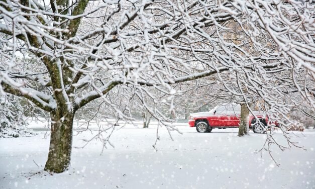 🌨️ Snowy Day Smiles